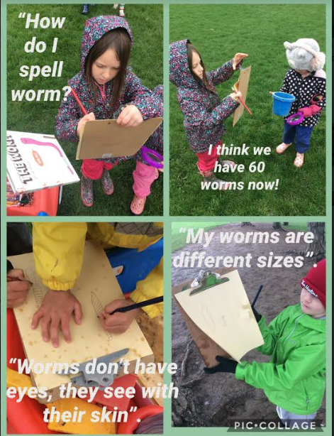 Miss DaCosta's Kindie class is doing some serious scientific investigation outside today!