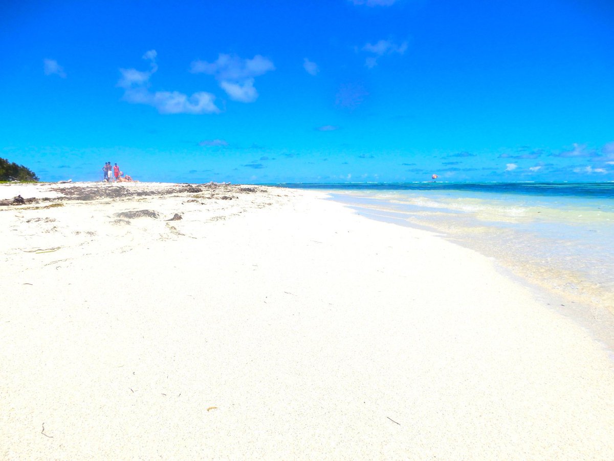cherrylsblog's tweet photo. A Tropical Dreamy Beach: Ile Aux Cerfs, Mauritius 🔆🌴🐠
https://t.co/zPwoyFmKx8 #beachholiday #BeachBum #islandlife #wanderlust
#Mauritius #travel #beach #BTravelBloggers @TEAANDPOST @TheBloggersPost https://t.co/4TC3W2caop