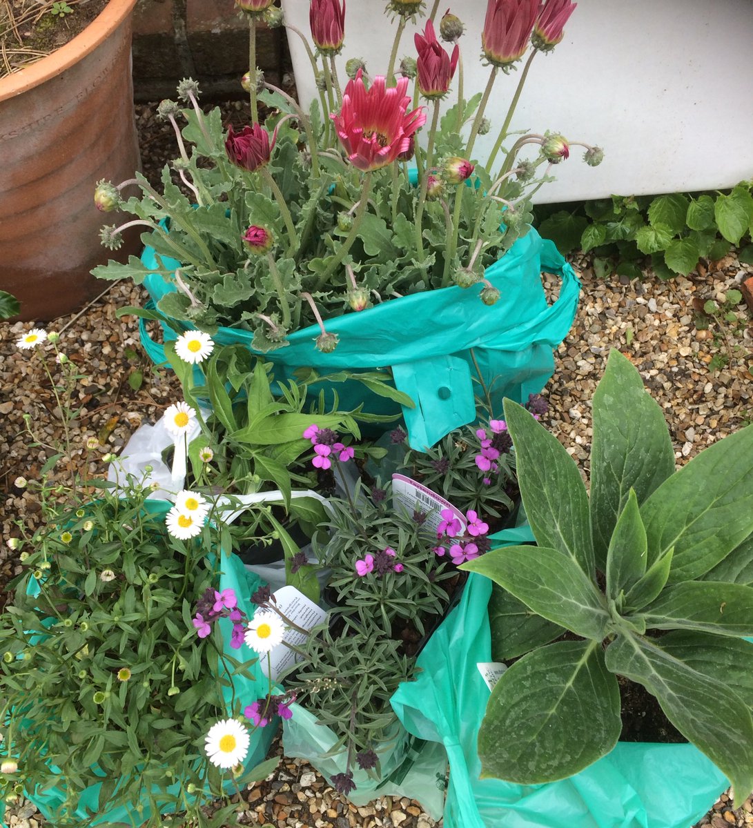 What a splendid time yesterday @tobysgardenfest set in the beautiful surroundings of <a href="/powderhamcastle/">Powderham Castle</a> Thanks for a brilliant day - fabulous  exhibitors and plenty to see and do all day <a href="/TobyBuckland/">Toby Buckland</a>