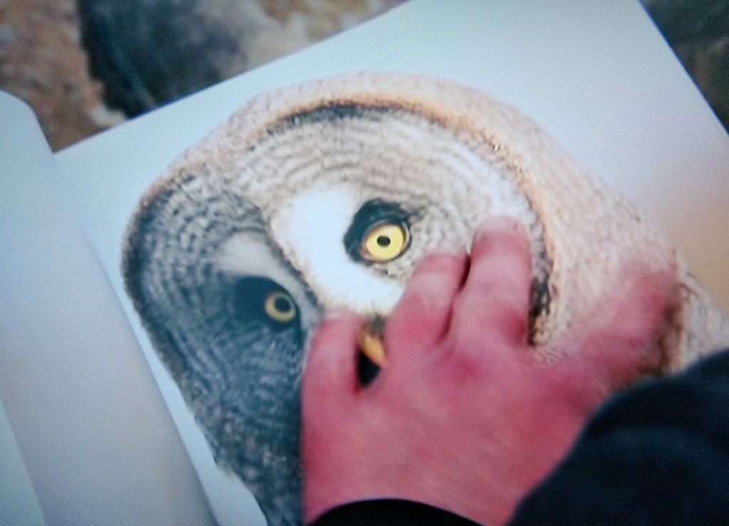 Loved hearing about the photography of <a href="/HellowellOliver/">Oliver Hellowell Photographer</a>. Great feature @BBCCountryfile <a href="/EllieHarrison__/">Ellie Harrison</a> #MeetTheArtist <a href="/mencap_charity/">Mencap</a> ♥️ 📷