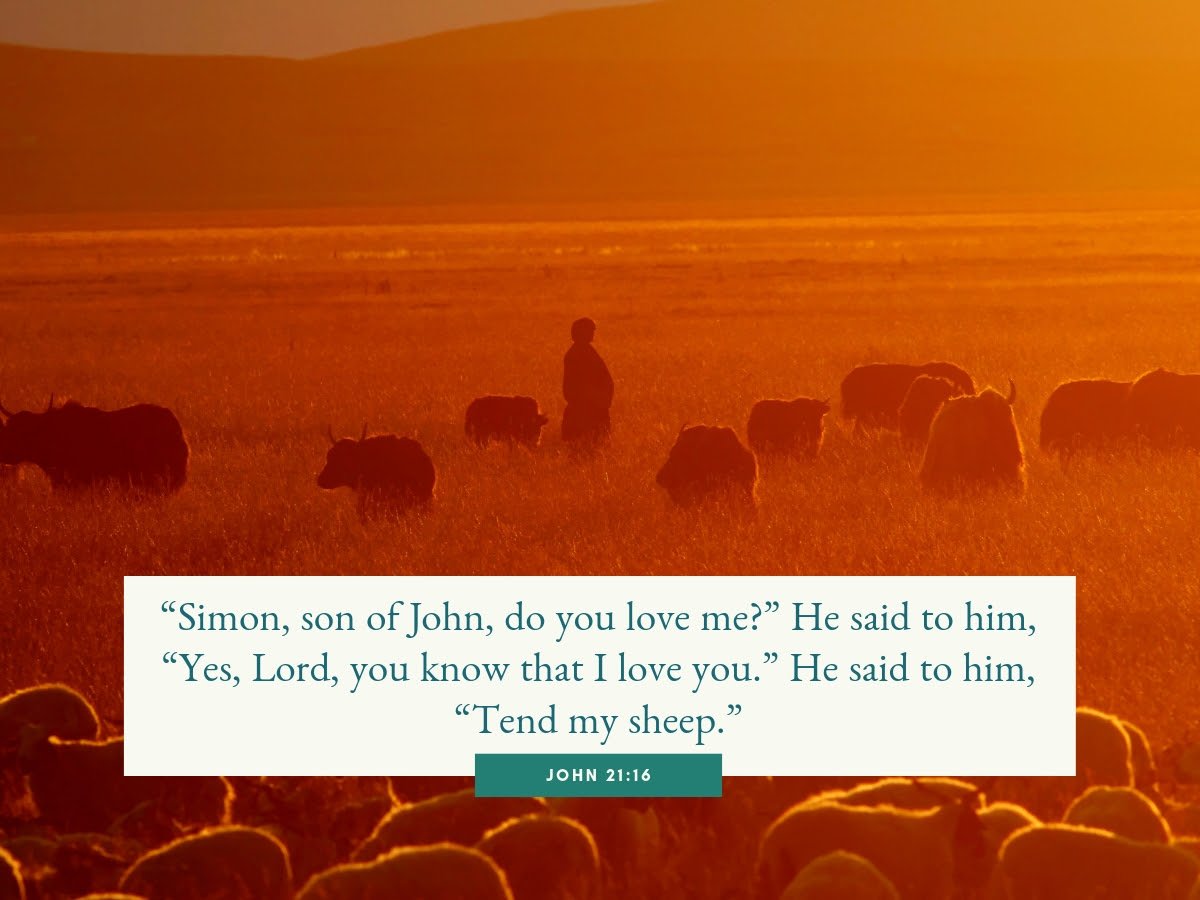 CMMB on Twitter: "On this Sunday we reflect: "Simon, son of John, do you love me?" He said to him, "Yes, Lord, you know that I love you." He said to him, "