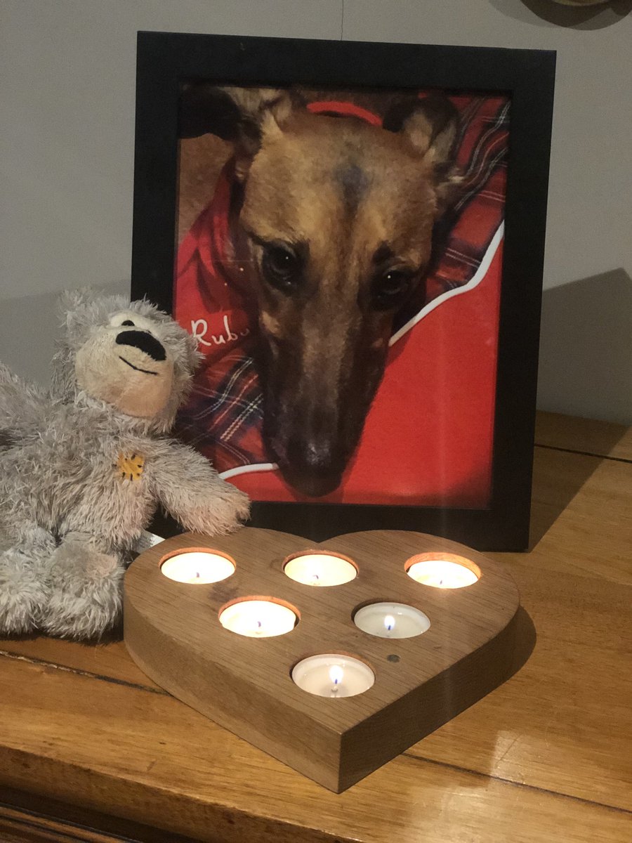 #StolenRuby please find your way home to us. We are waiting. Xx