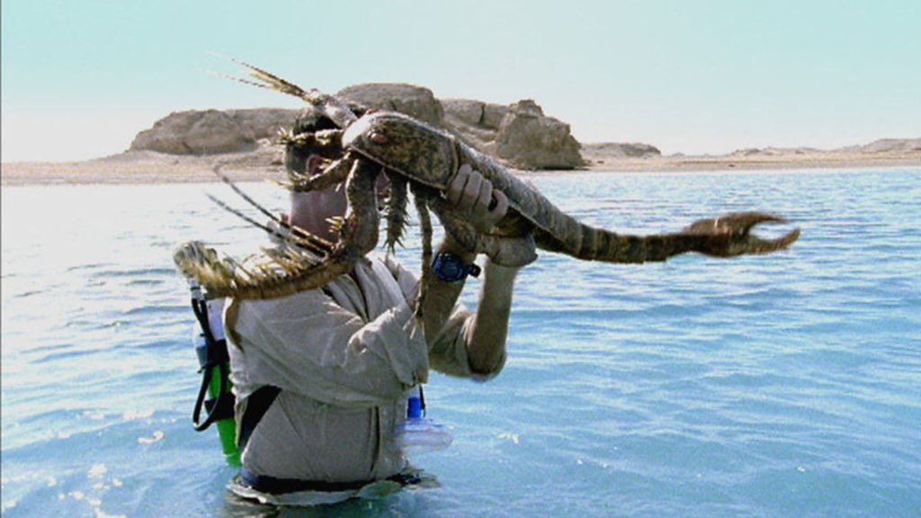 nigel marven sea monsters