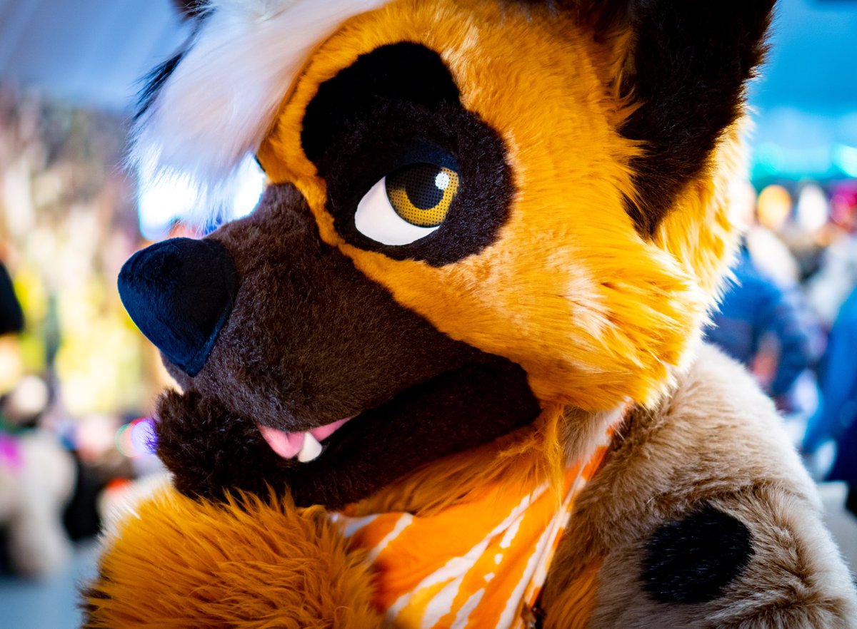 Hoo is this 🤔

🐶: <a href="/DoggoHoo/">Hoo?Wut!?🇨🇦</a> 
🗺: <a href="/furrykerfluffle/">Kerfluffle Furry Events</a> 
📷: Me!