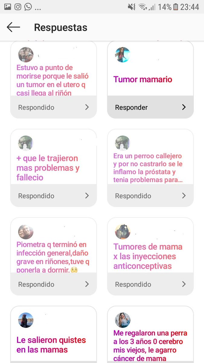 ChiariPidone's tweet photo. Preguntamos a las personas que nos siguen, qué pasó con los animales que NO castraron y esto nos respondieron.
Castrar SALVA VIDAS. No esperemos que pasen cosas malas para actuar. Actuemos para prevenir. https://t.co/cFg2asRhpi