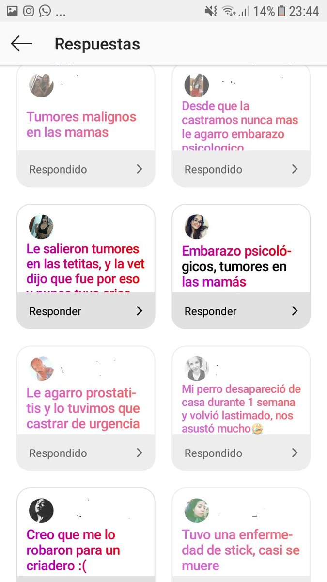 ChiariPidone's tweet photo. Preguntamos a las personas que nos siguen, qué pasó con los animales que NO castraron y esto nos respondieron.
Castrar SALVA VIDAS. No esperemos que pasen cosas malas para actuar. Actuemos para prevenir. https://t.co/cFg2asRhpi