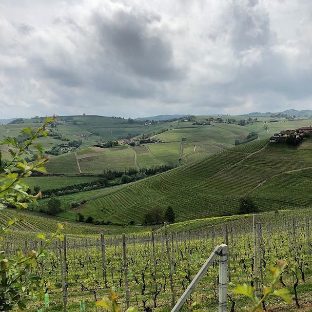 J.T. Ellison tweet media