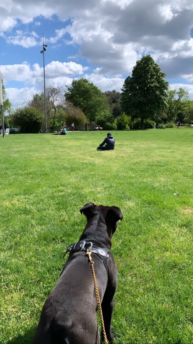 THWonderland's tweet photo. Bill  Instagram Story - 05.05.2019 II + III

#tokiohotel #billkaulitz https://t.co/EWb3Ni9YyG