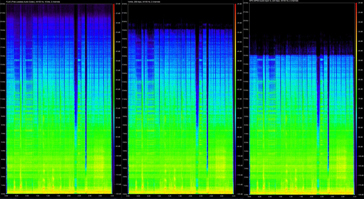 Flac file converted to OGG and MP3. It's shocking to see how much information is removed in MP3 compression.