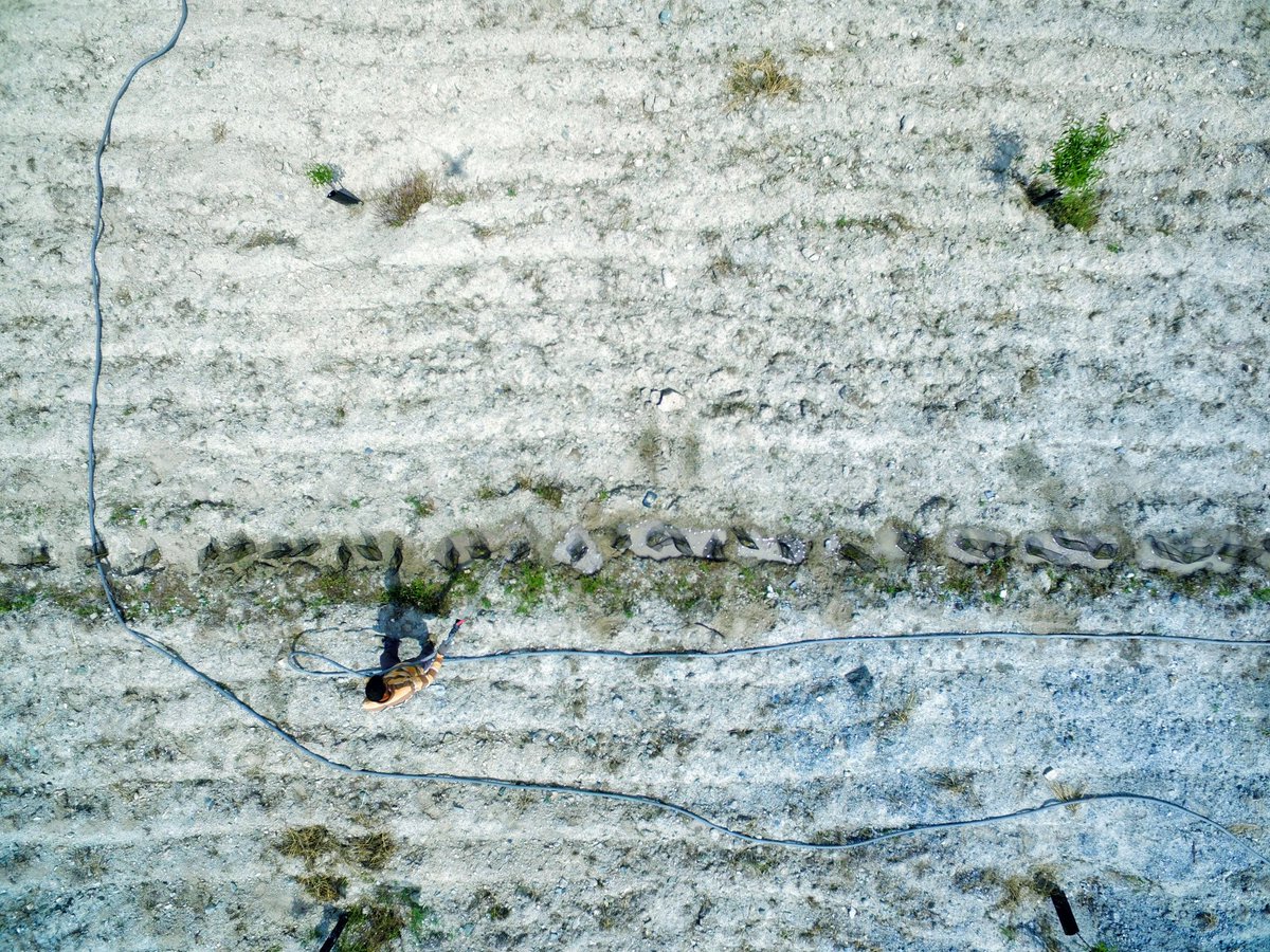 La introducción de vegetación en zonas agrícolas contribuye al aumento del stock de carbono del suelo, pero exige la ejecución de labores de mantenimiento (supervisión, riego, control fauna silvestre) tras la plantación para asegurar el éxito #Iniciativa4x1000 #LIFEAMDRYC4 #AbE