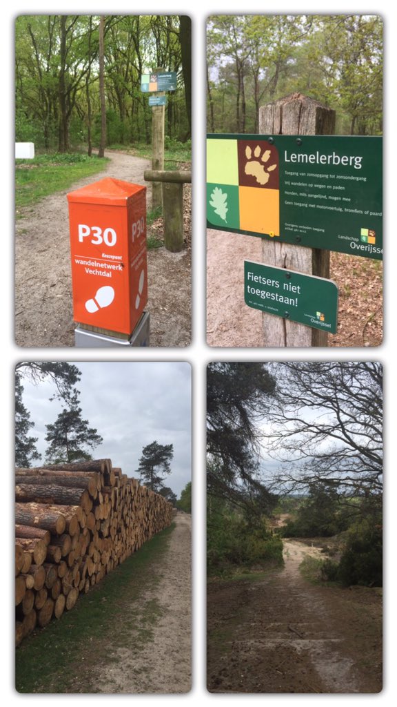 HeinoII's tweet photo. Blijft fantastisch mooi ...... #Archemerberg #Lemelerberg #Dalmsholte #Wandelnetwerk #Vechtdal #Landschap #Overijssel https://t.co/sjjrUg2UoI