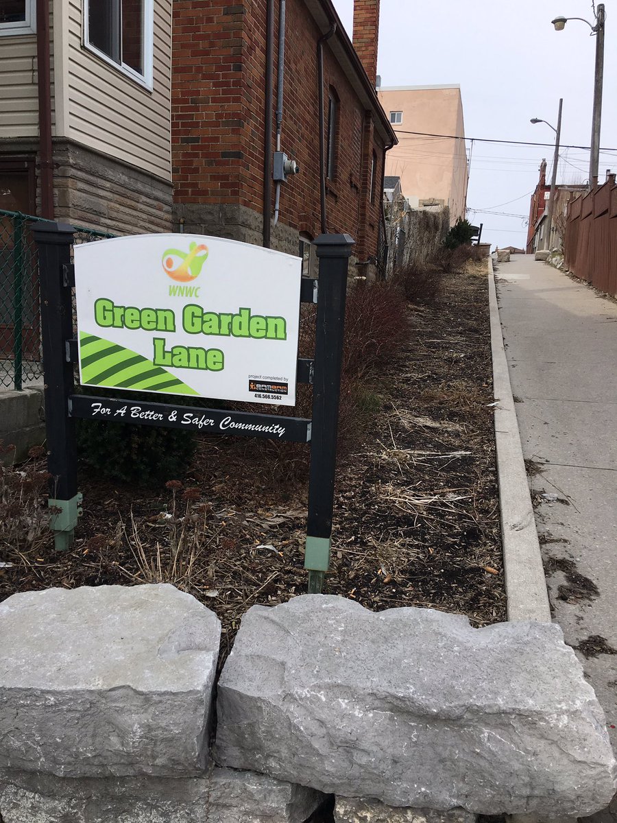 Some exciting thjngs happening on our Green Garden Way this month. Stay tuned for more info and learn how you can get involved @DavidSuzukiFDN #butterflyway @biltonlaneway @JoshMatlow @cityoftoronto #beefriendly #bees #Butterflies #pollinators