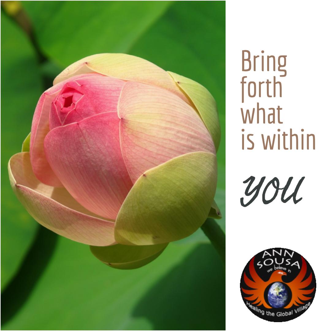 ANNSousaHGV's tweet image. Bring forth what is within you. #healingtheglobalvillage #shamanicdivination #shamanicpractitioner #firewalkinstructor #dagaramedicine #createhope #learn more at healingtheglobalvillage.org