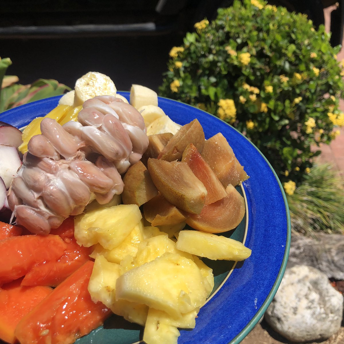 nattychef_'s tweet photo. can you guess all the fruits on my plate?

#LIFEFOOD https://t.co/OmqG6p8azF
