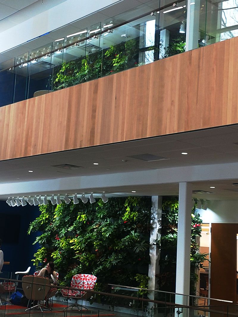 SpecifierMagCSI's tweet image. LiveWall living wall graces the atrium of the new science and technology center at Cornerstone University. buff.ly/2GVusHb. @cornerstoneuni @livewall #green