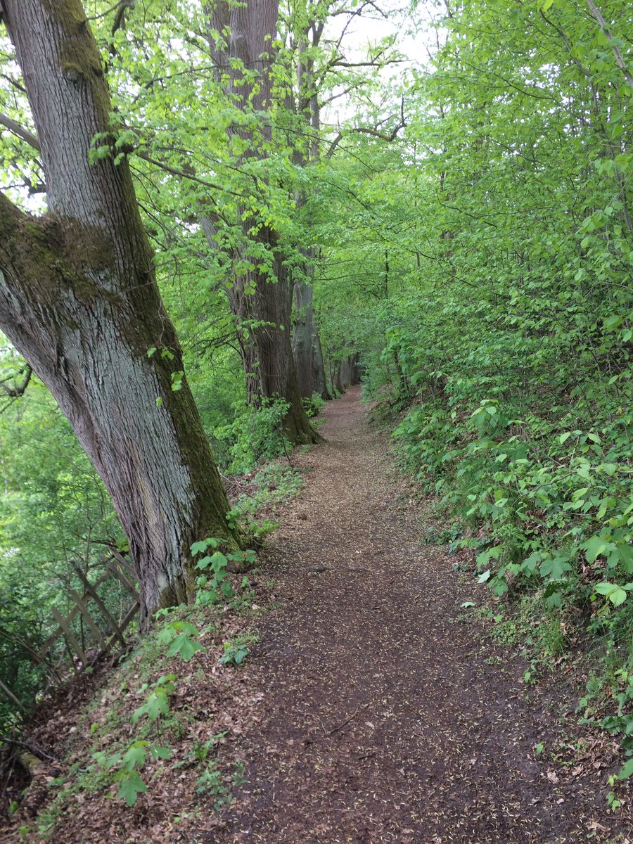 Reinhard Fuchs tweet media