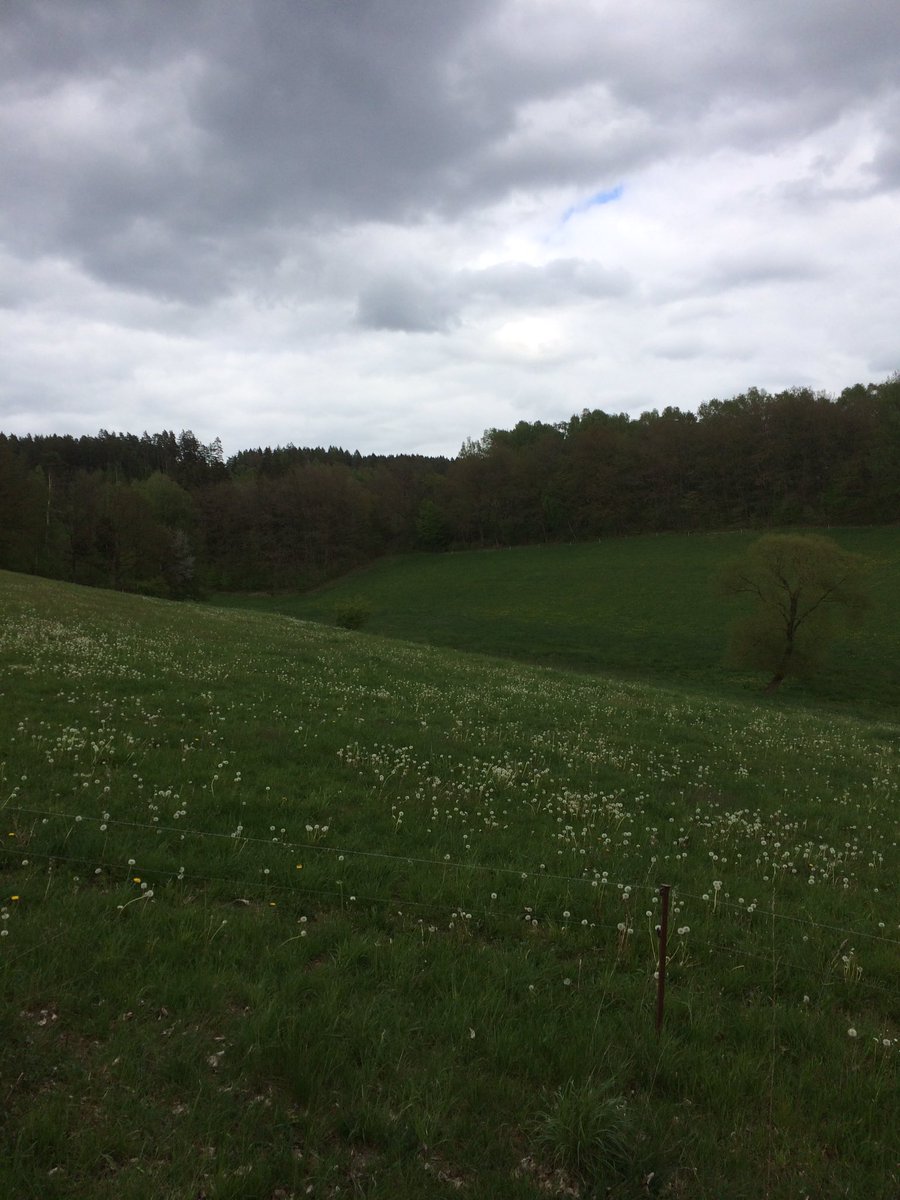 Reinhard Fuchs tweet media