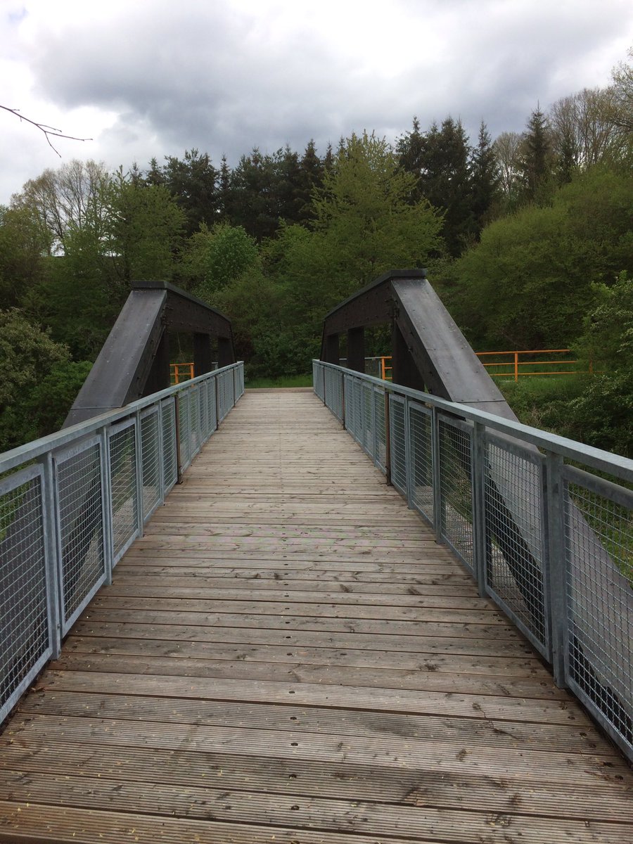 Reinhard Fuchs tweet media