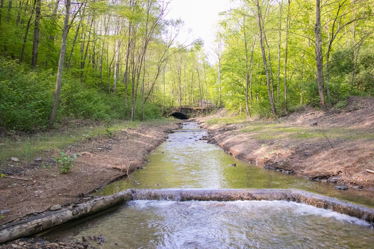 ENC_TroutUnlimited tweet media