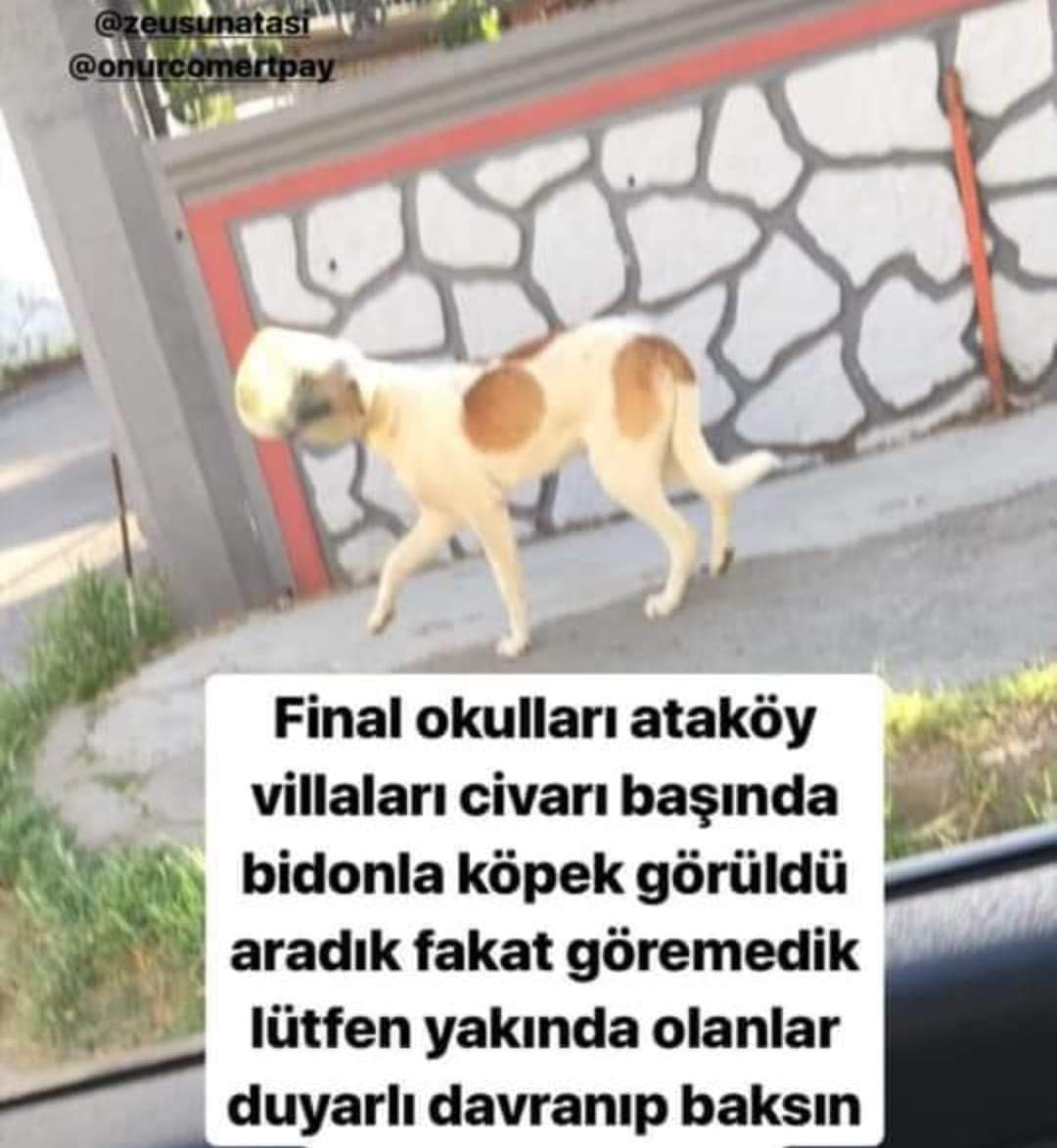 sevdauner's tweet photo. İSTANBUL https://t.co/qtv7Znr40f