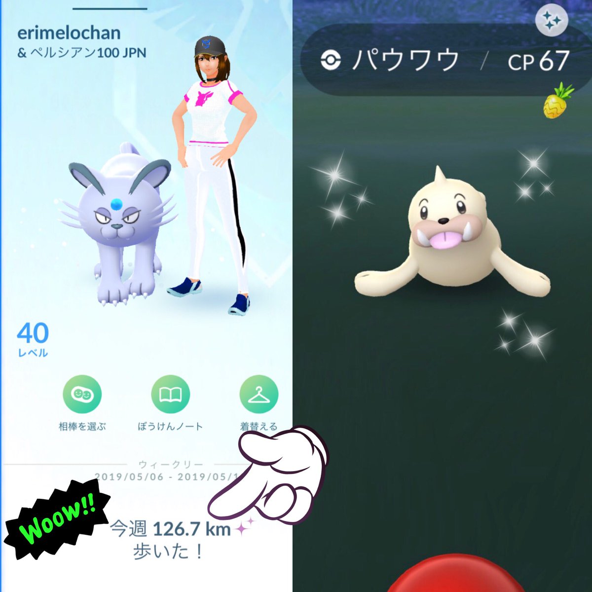 パウワウ色違い Twitter Search