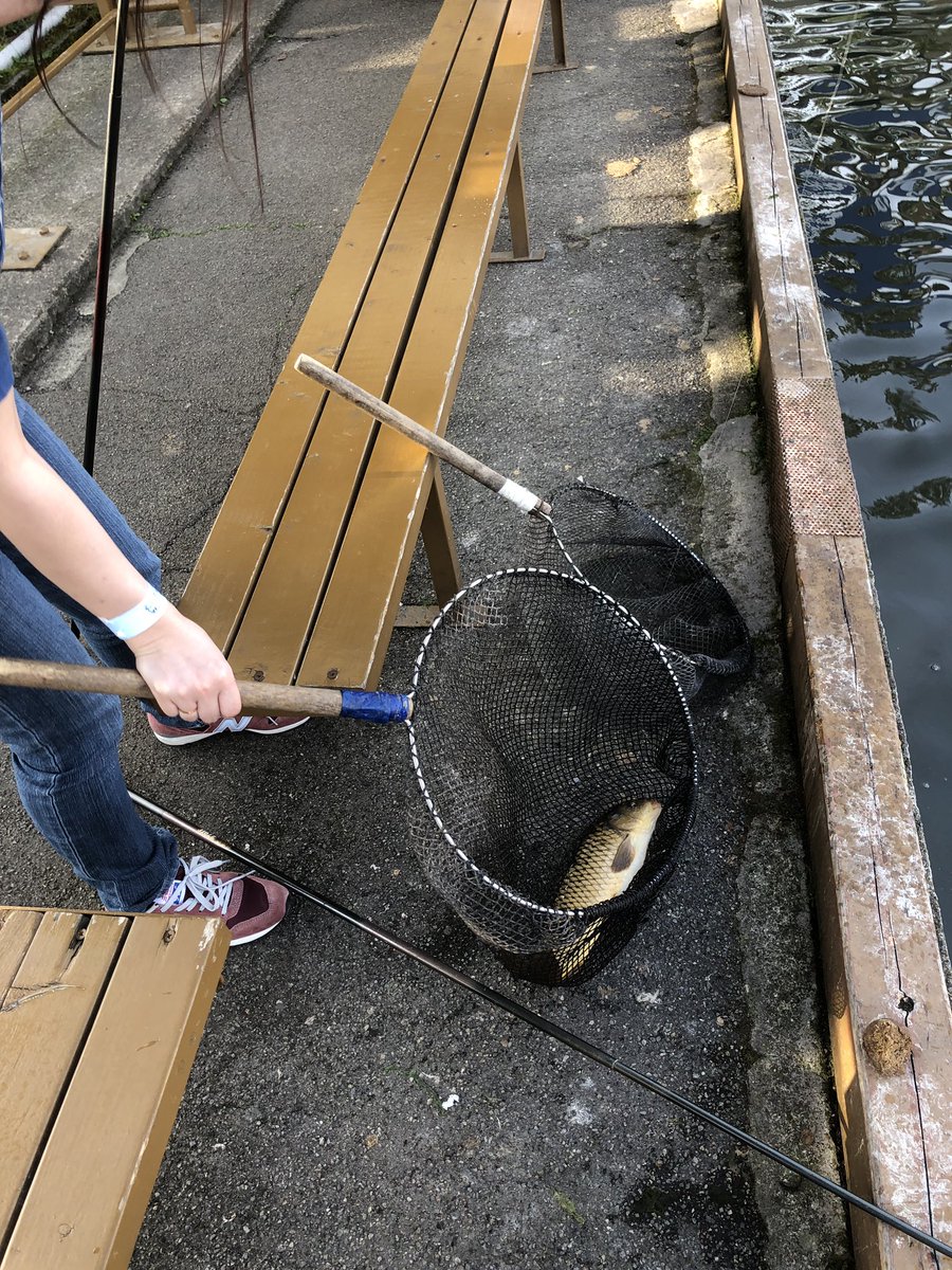 ピロキ 手取フィッシュランド楽しかったなー 彼女は釣り堀で鯉釣っててやるわ けど金魚すくいなら俺の方が釣れたもん また釣りしにいこーっと ๓ ピロキ 手取フィッシュランド楽しかったなー 彼女は釣り堀で鯉釣っててやるわ けど金魚すくいなら俺の方が釣れたもん また釣りしにいこーっと ๓