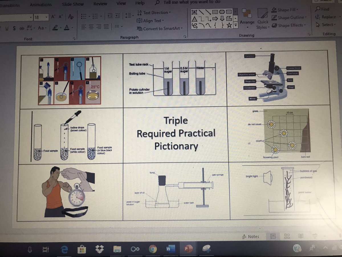 bioteacher16's tweet image. #requiredpractical Pictionary completed for the last lessons I have with my students this week!