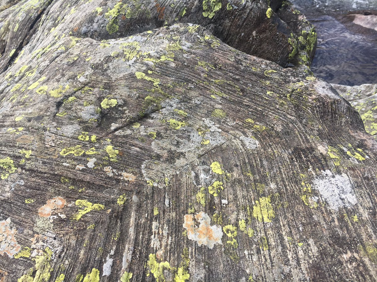 NorthernFellsRC's tweet photo. Thanks to Richard Clark for leading the Sunday social group on a geological tour of Carrock Fells. This event was also part of @BritGeoSurvey GeoWeek 2019 @GeoWeekUK #activeGeoWeek2019 https://t.co/yfD81gQz0m