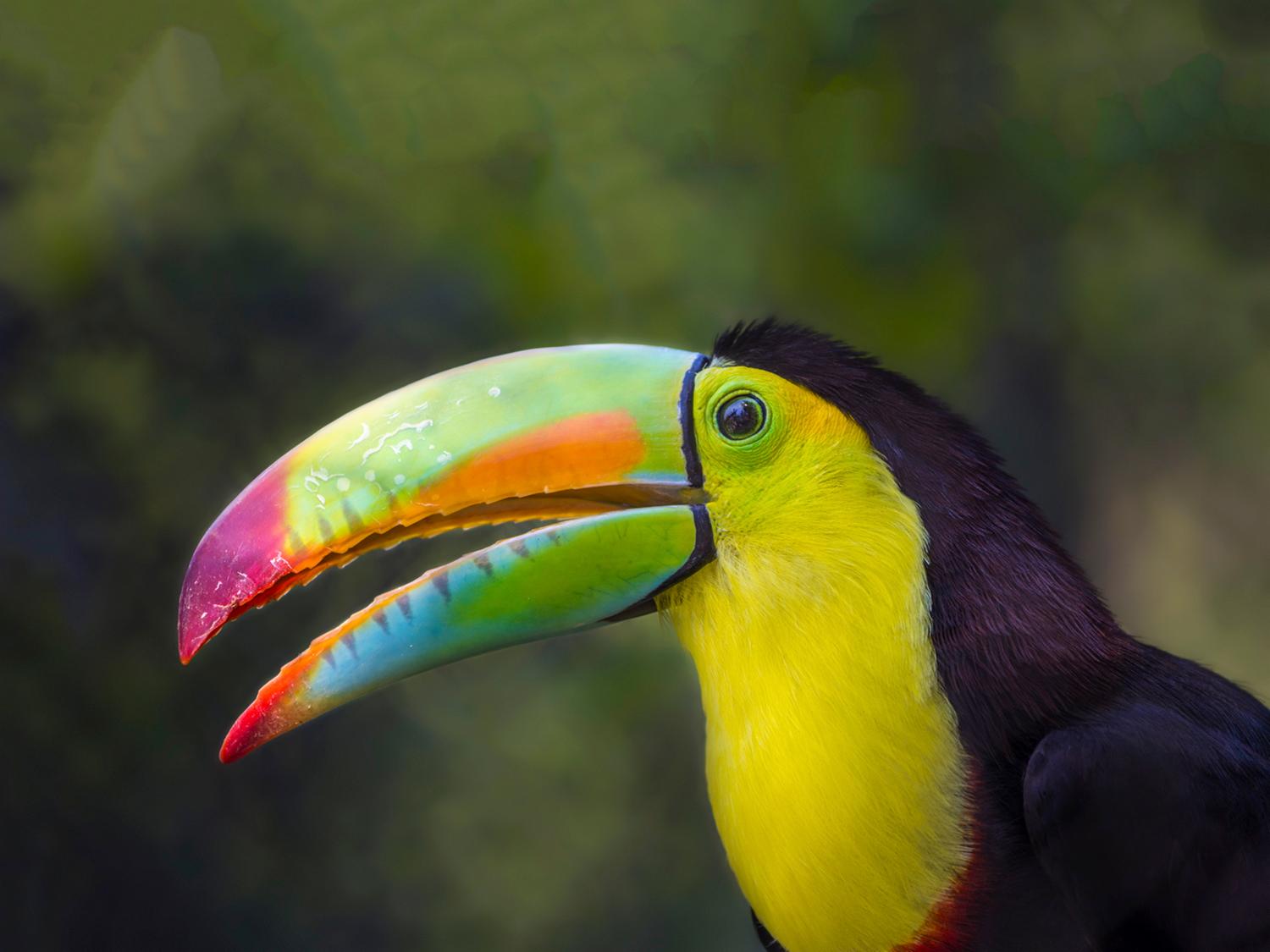 Los Angeles Zoo on Twitter: Los Angeles Zoo on Twitter: