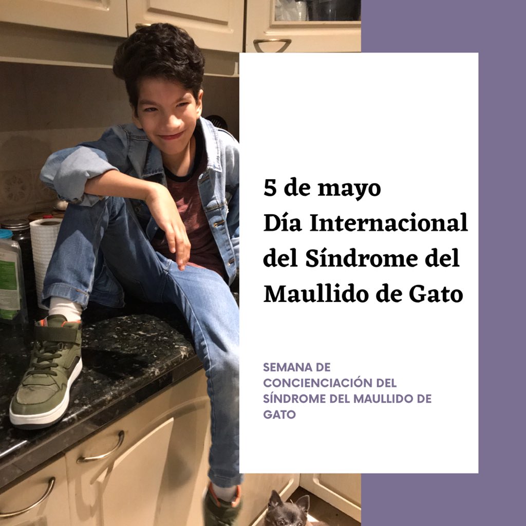 clauditaa's tweet photo. ¡Hoy celebramos el Día Internacional del Síndrome del Maullido de Gato 🐱 o Cri du Chat!
Y sí, lo celebramos ya que es importante que se conozca nuestra condición, que se reconozca nuestros logros, de todo lo que somos capaces.
¡Celebremos lo diferente!
#criduchatawarenessweek https://t.co/9ix7zMwXoL