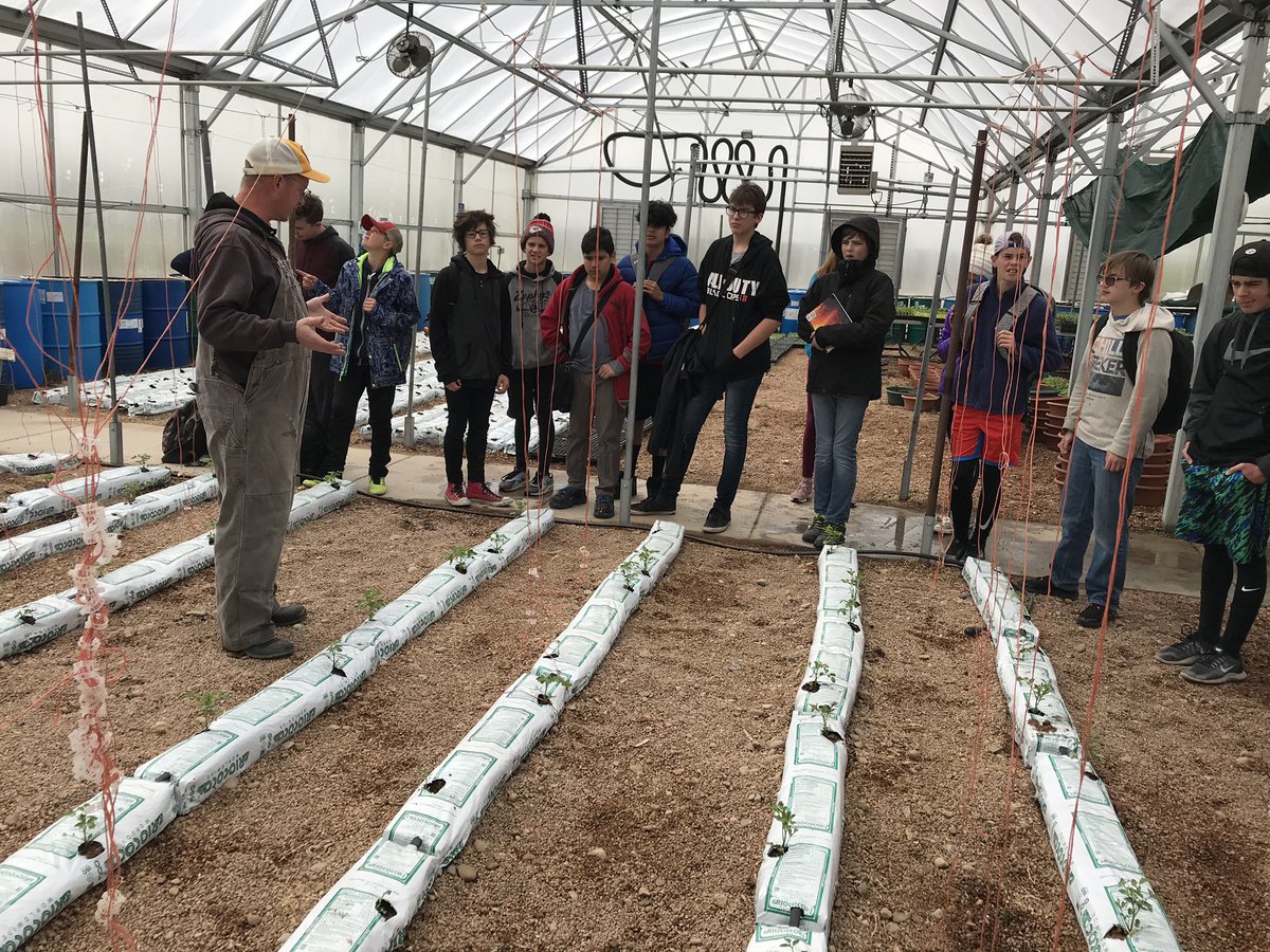 Hoffman Farms tweet media