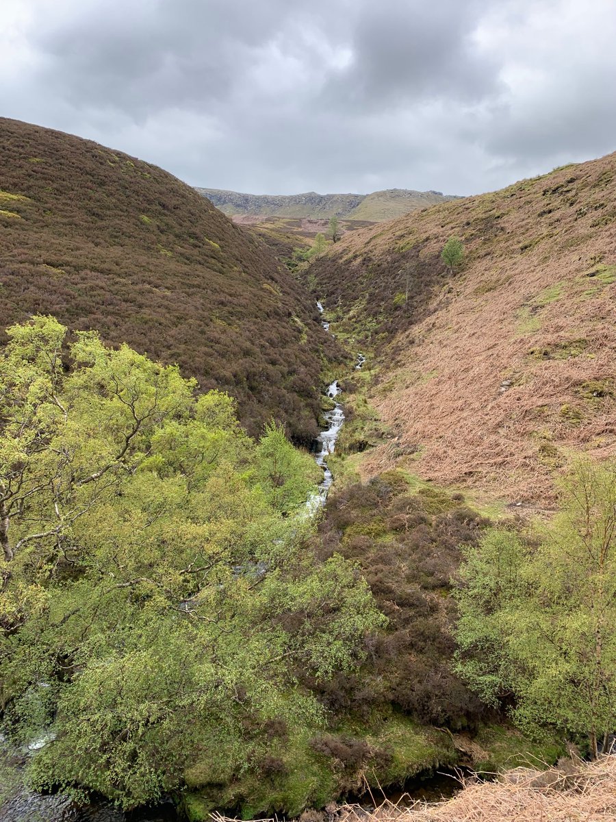 Paul_UNS's tweet image. Congratulations to our first student from Holland doing her Dutch ML. Really good Nav skills. With only 10 contour lines possible to climb in the whole of the Netherlands - she did superbly and is now a #peakdistrict 😀 fan!