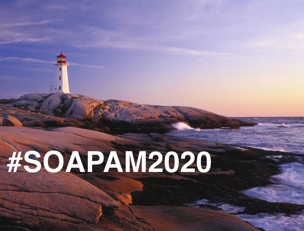fatemah_qasem's tweet image. I have to say this is one of the best #SOAPAM2019 meetings. Thank you @LeffertMarie @hnixon147 for your great hospitality. I’m looking forward for #SOAPAM2020 #Halifax #halifax2020 @Ron_George 🇨🇦