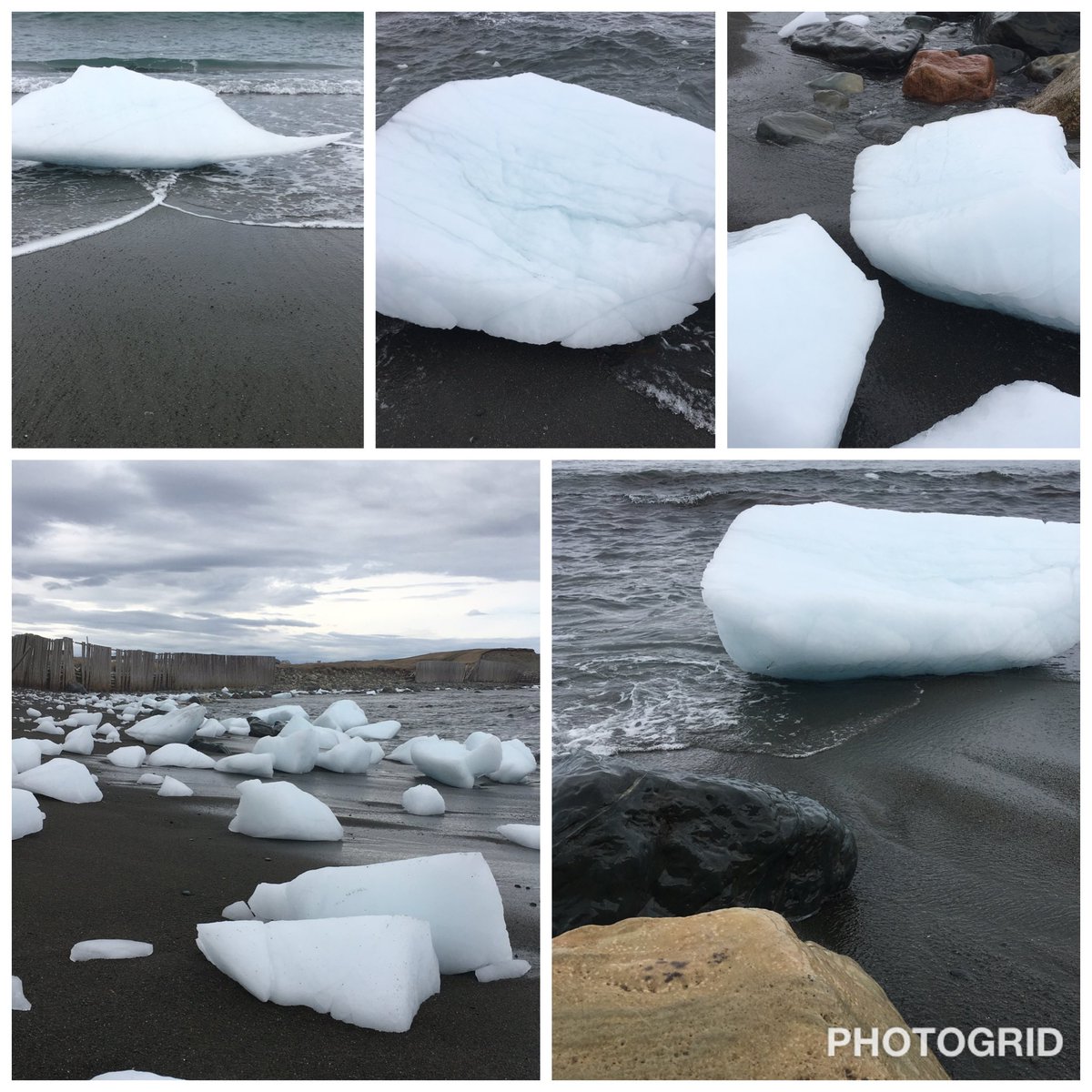 patricahewitt's tweet photo. Collecting #bergybits on Long Beach! #ancienticecubes https://t.co/KKYWDsIi8Z