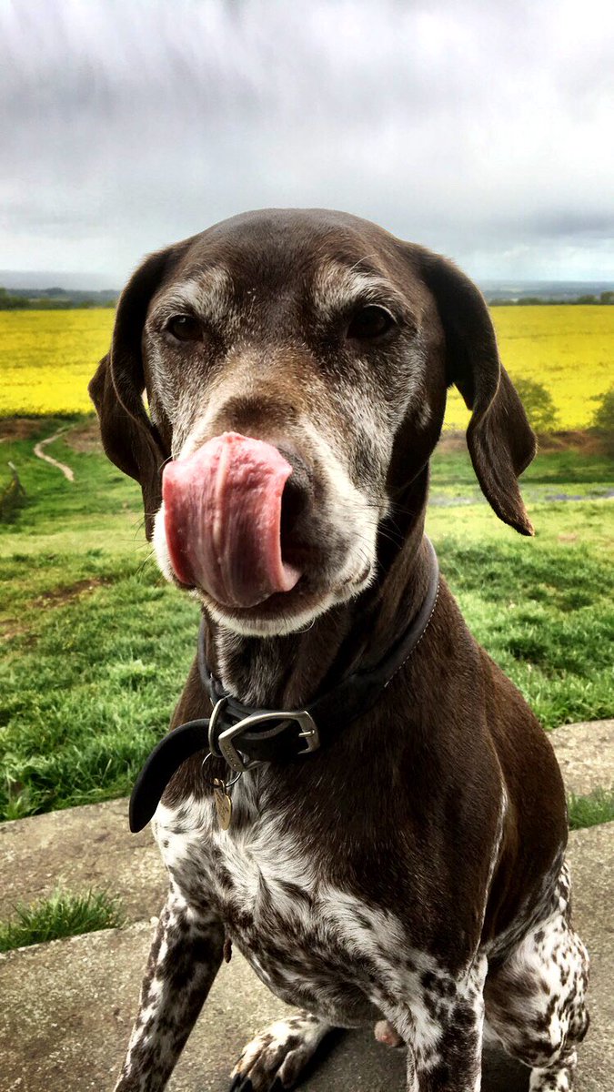 BillingeB's tweet photo. The name is H, aka Mr H or Henry 😎 Can confirm he’s not “The bent copper H” #lineofduty5 #LOD5 @BBCOne @martin_compston @Vicky_McClure https://t.co/9jYwojRgwh
