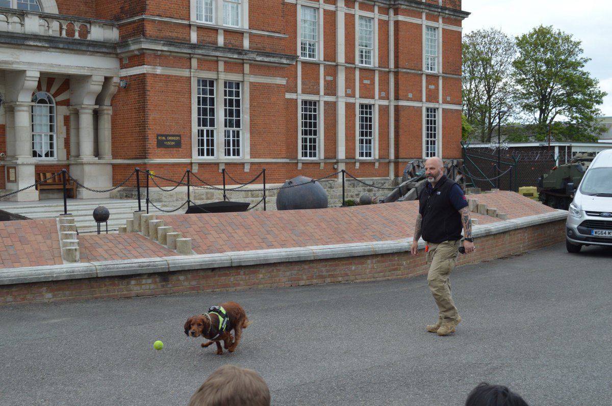 REMuseum's tweet photo. Huge thanks to Bailey, Cooper and handler Darren! We've had fun watching the displays and even had a surprise appearance from Xena today! 
Tomorrow we've got mine searching plus retired Lt Colonel Rod MacArthur giving a fantastic talk on bomb disposal from the Blitz until 2019! https://t.co/1NcFBvqggo