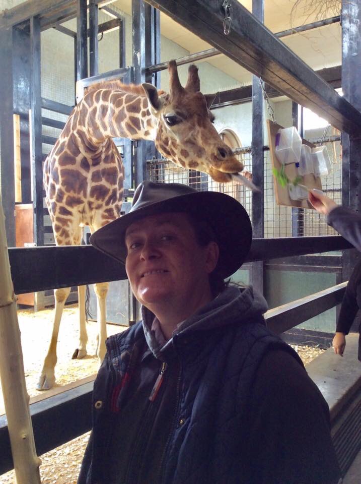 westminsterwags's tweet photo. Ali went on a meet and greet today! 
Her new 4 legged friend was slightly taller than normal, &amp; is unlikely to be joining our pack on a full time basis but will always be an honorary member of the Wags family as far as Ali’s concerned! #BirthdayGift #Giraffes #LondonDogWalker https://t.co/Onh1pL5MwW