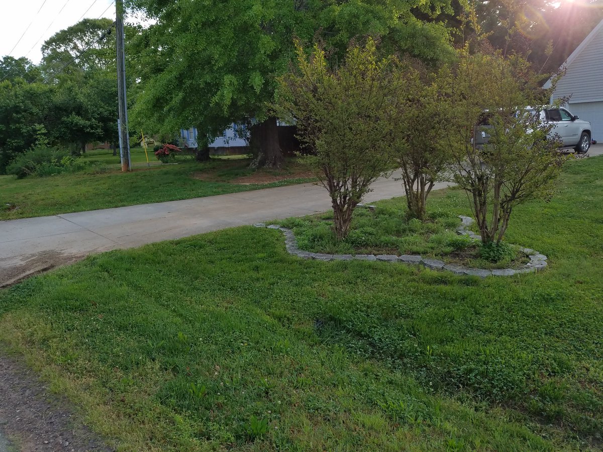 ScapesGreat's tweet image. Transformation has begun 
#cleanitup