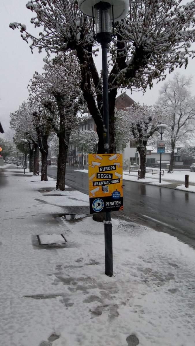 Bernsteinmops's tweet photo. Plakatieren. Für die #Europawahl2019 
Im Mai...🙈 #Piratenpartei #piraten 

Go @echo_pbreyer GO! Selbst der Schnee hält uns nicht ab. https://t.co/CLx1nIPtg8
