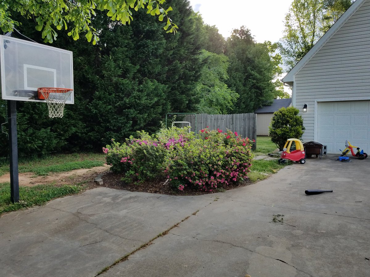 ScapesGreat's tweet image. Small project or large give us a call..