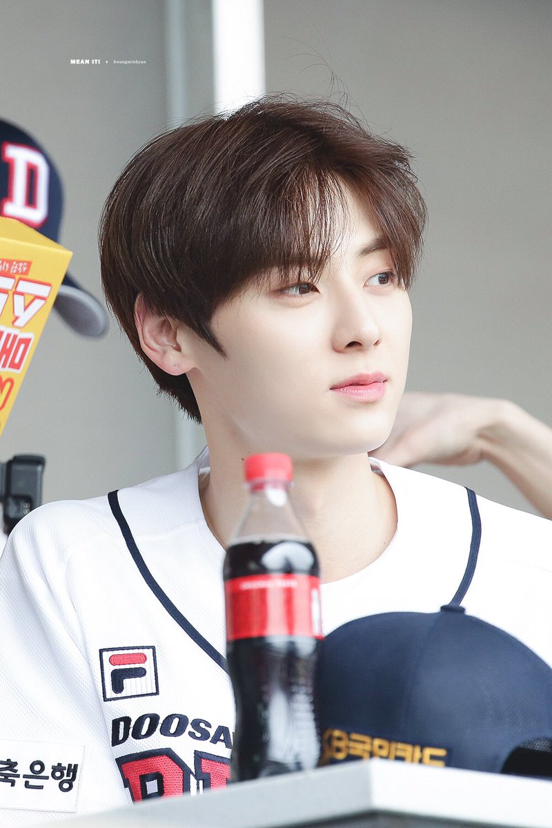 honyanng's tweet photo. 너는 펫..... 아니냐구요...... 일 나간 쥬잉이 한테 셀카 보내는 천재견 https://t.co/lZkmvVpse6