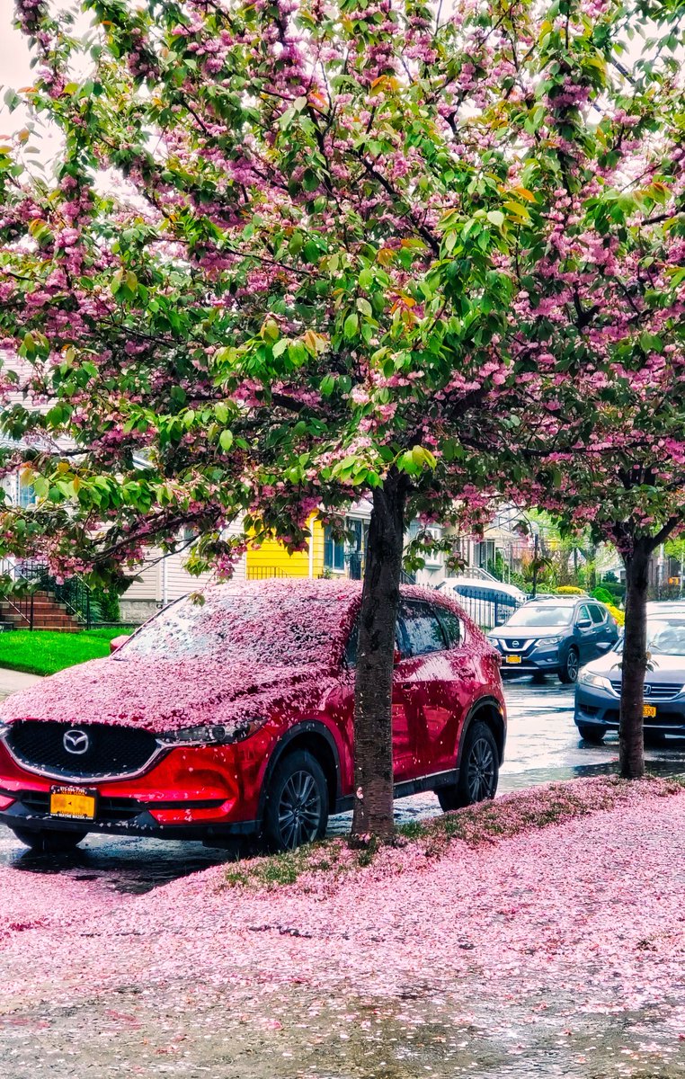 Nature loves <a href="/MazdaUSA/">Mazda USA</a> ? I would rather clean this off than snow. 🙂
