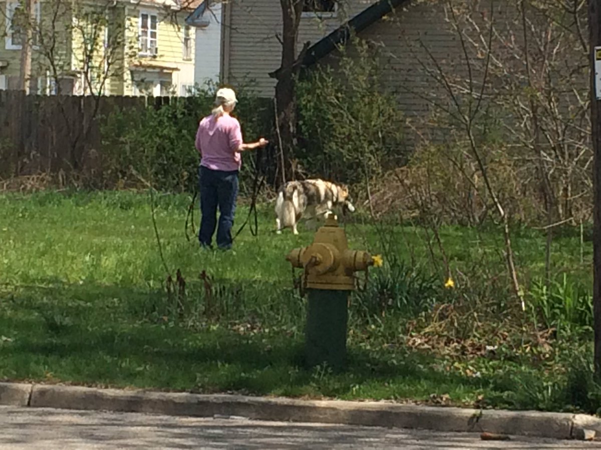 Head wife with Belle in the Lot garden