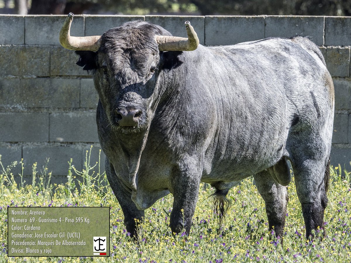 ATC SAN ANTOLIN tweet media