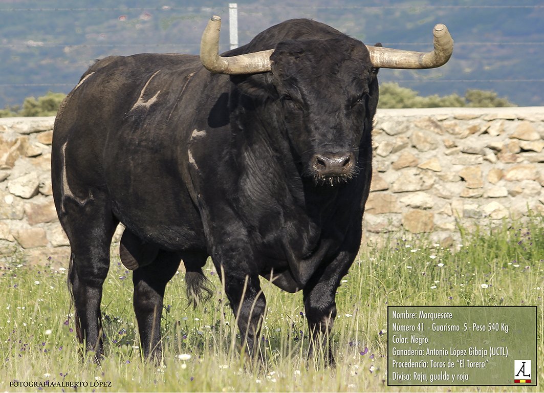 ATC SAN ANTOLIN tweet media