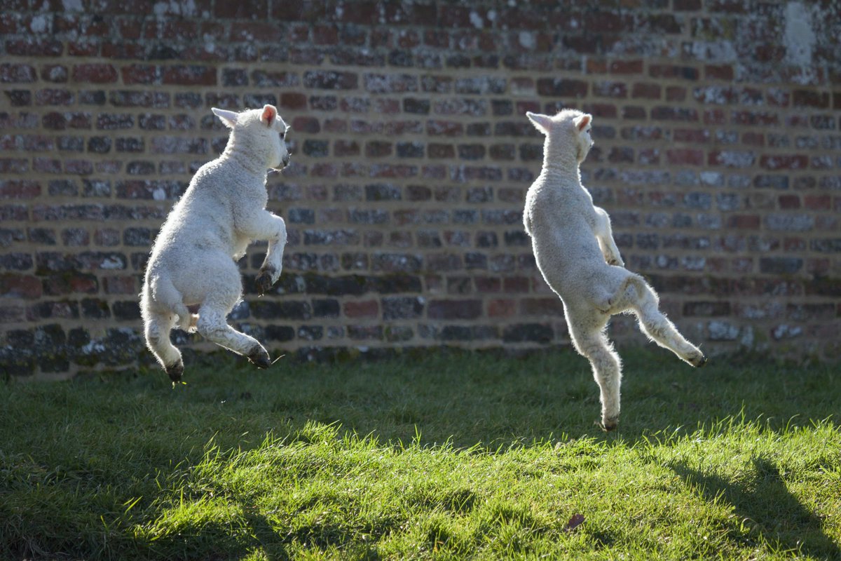 nationaltrust's tweet photo. When you remember tomorrow's a bank holiday... https://t.co/A9WyLsgZn8