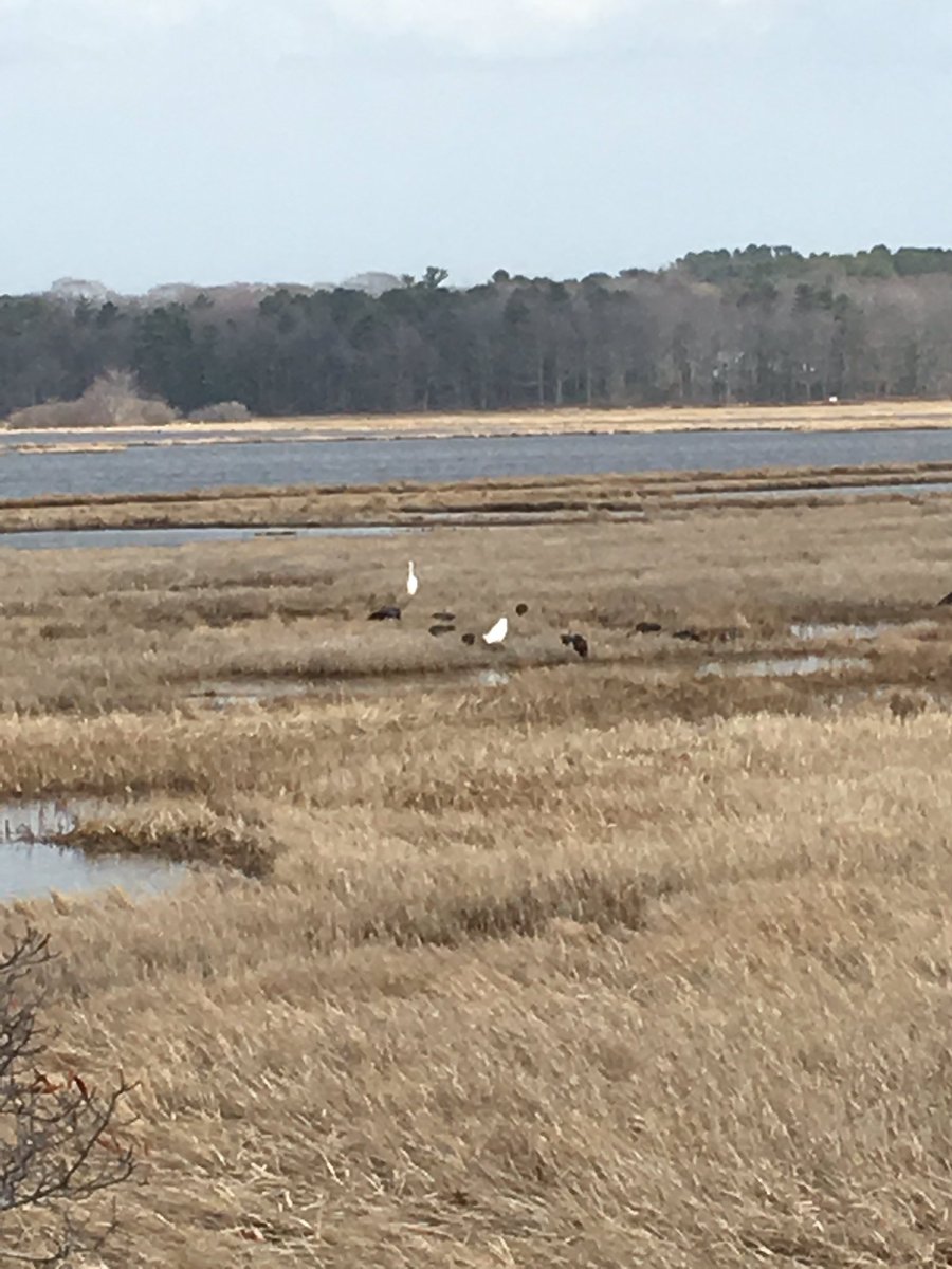#stonehillbiodiversity