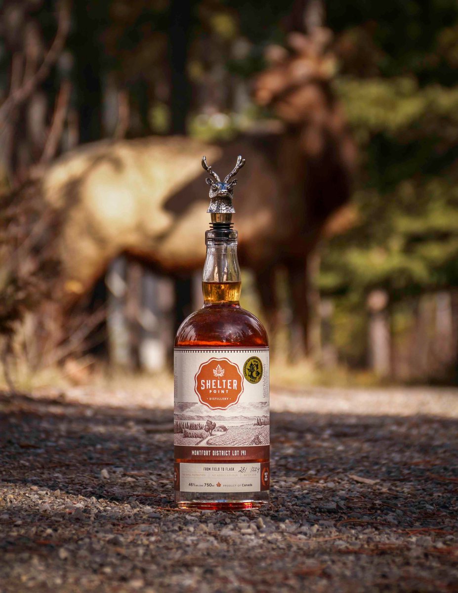 BanffWhiskyExperience tweet media