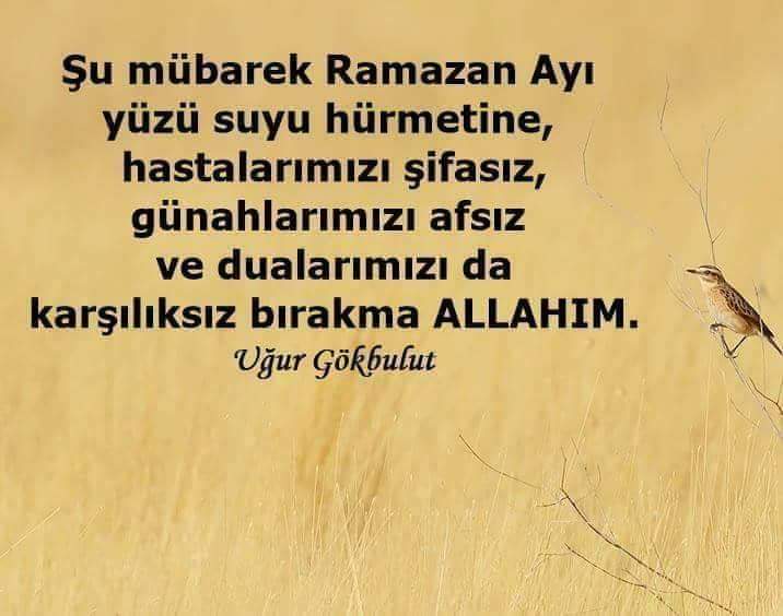 Hüseyin Güneş (@hseying79698424) on Twitter photo 