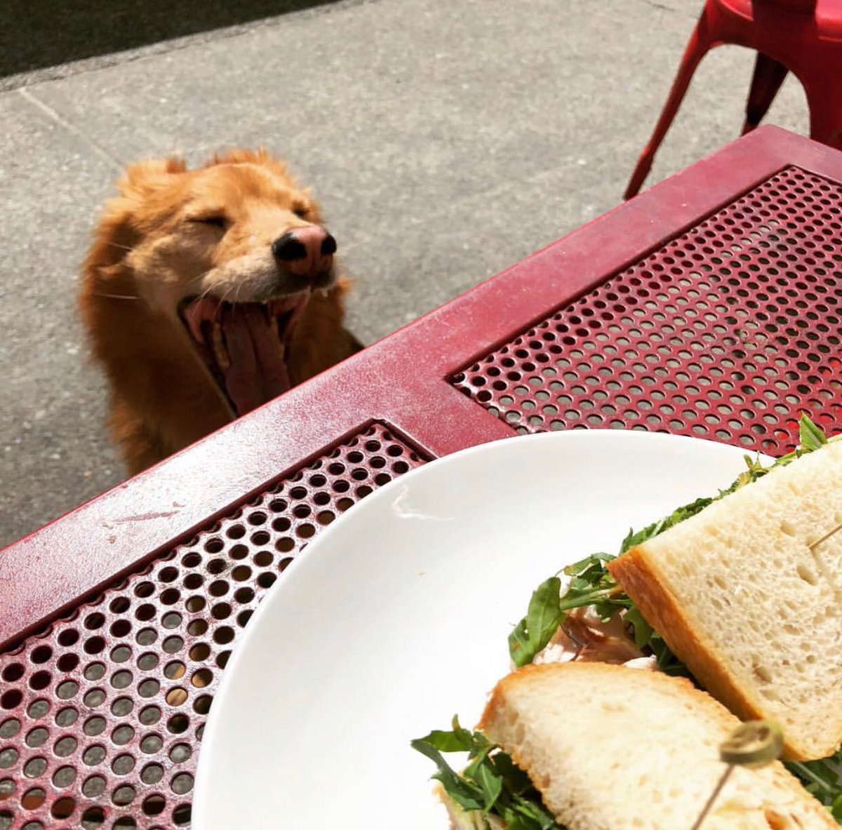 Railtown Cafe tweet media